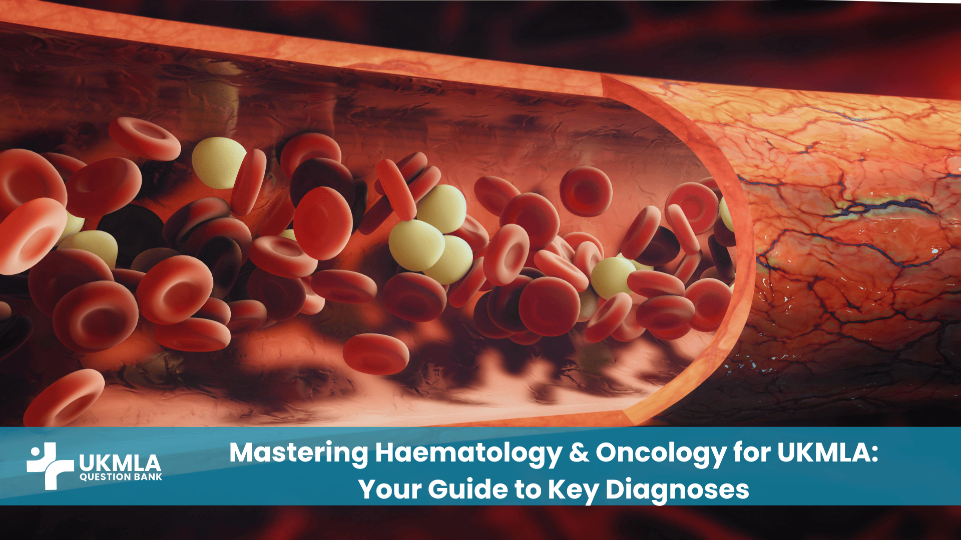 Differentiation of blood cell lineages, essential for mastering Haematology & Oncology for UKMLA.