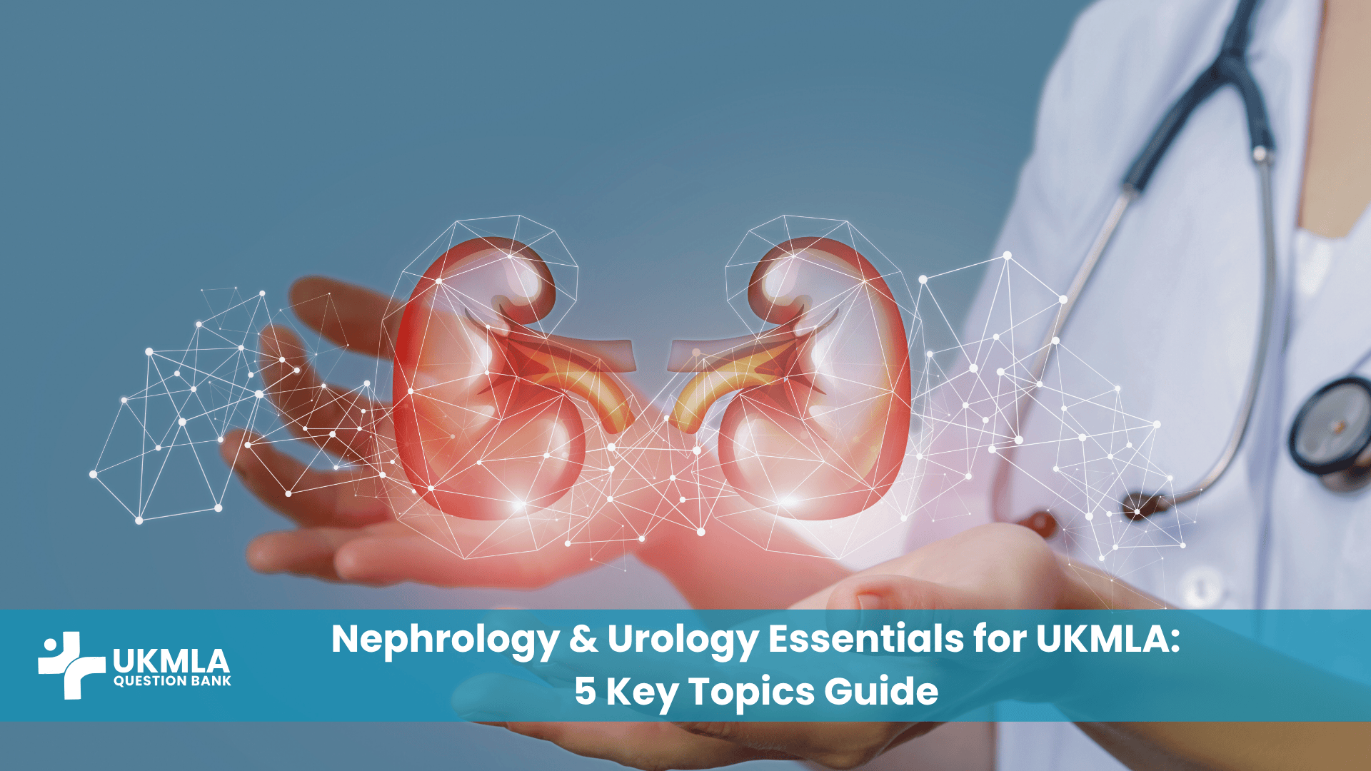 The core topics of Nephrology & Urology essentials for UKMLA. Kidneys and Bladder